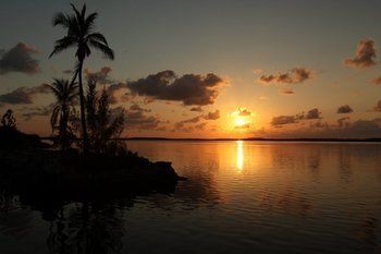 Tarpon Flats & Marina - Hotel 3*