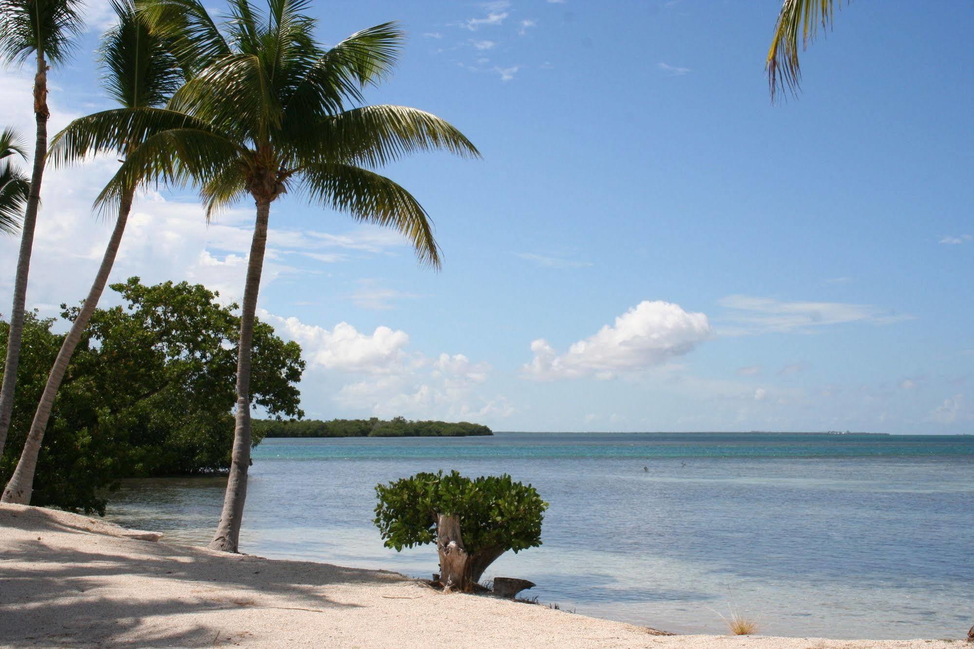 Sunshine Key Rv & Marina Hotel