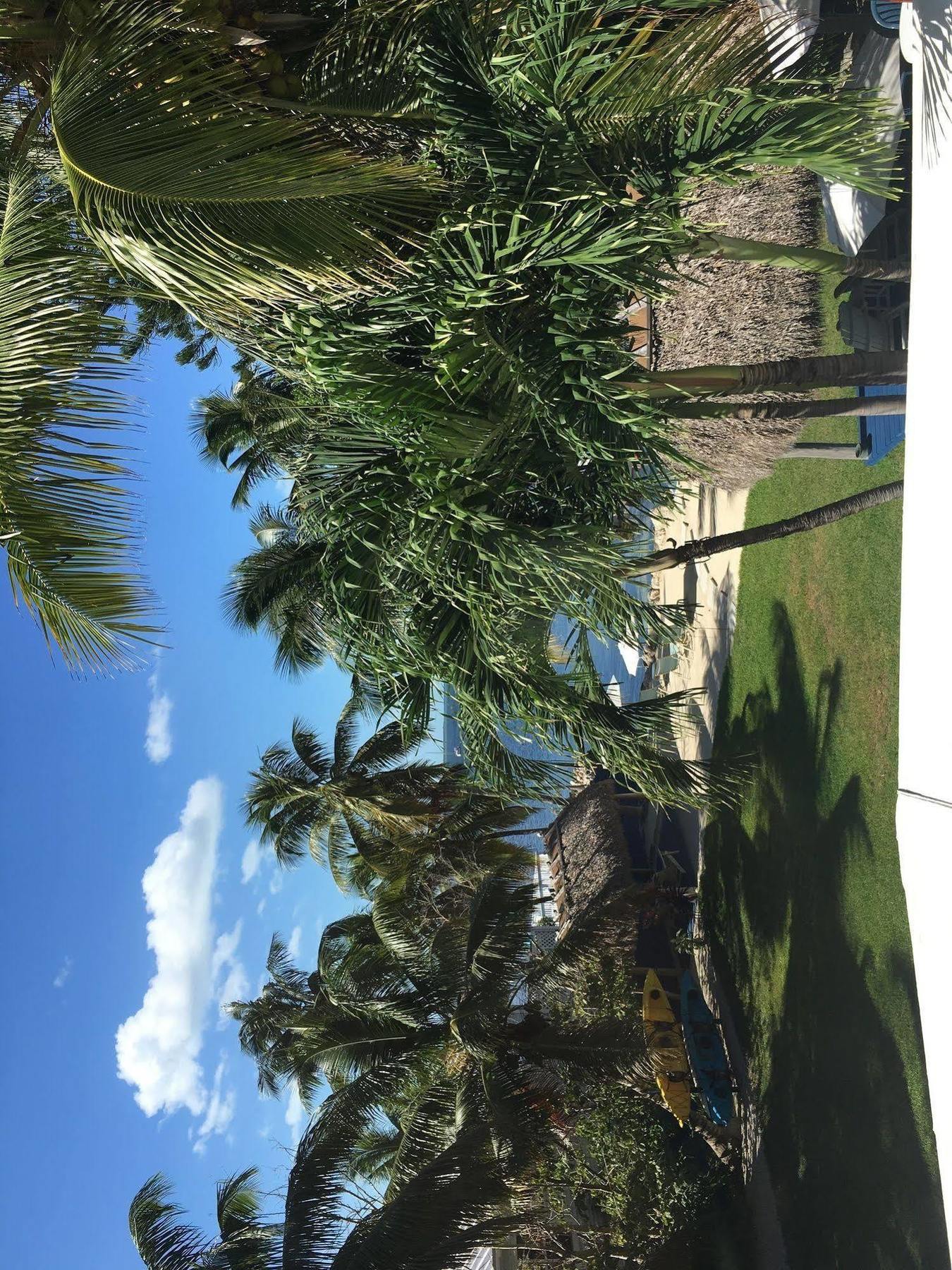 Hotel Azul Del Mar (adults Only)