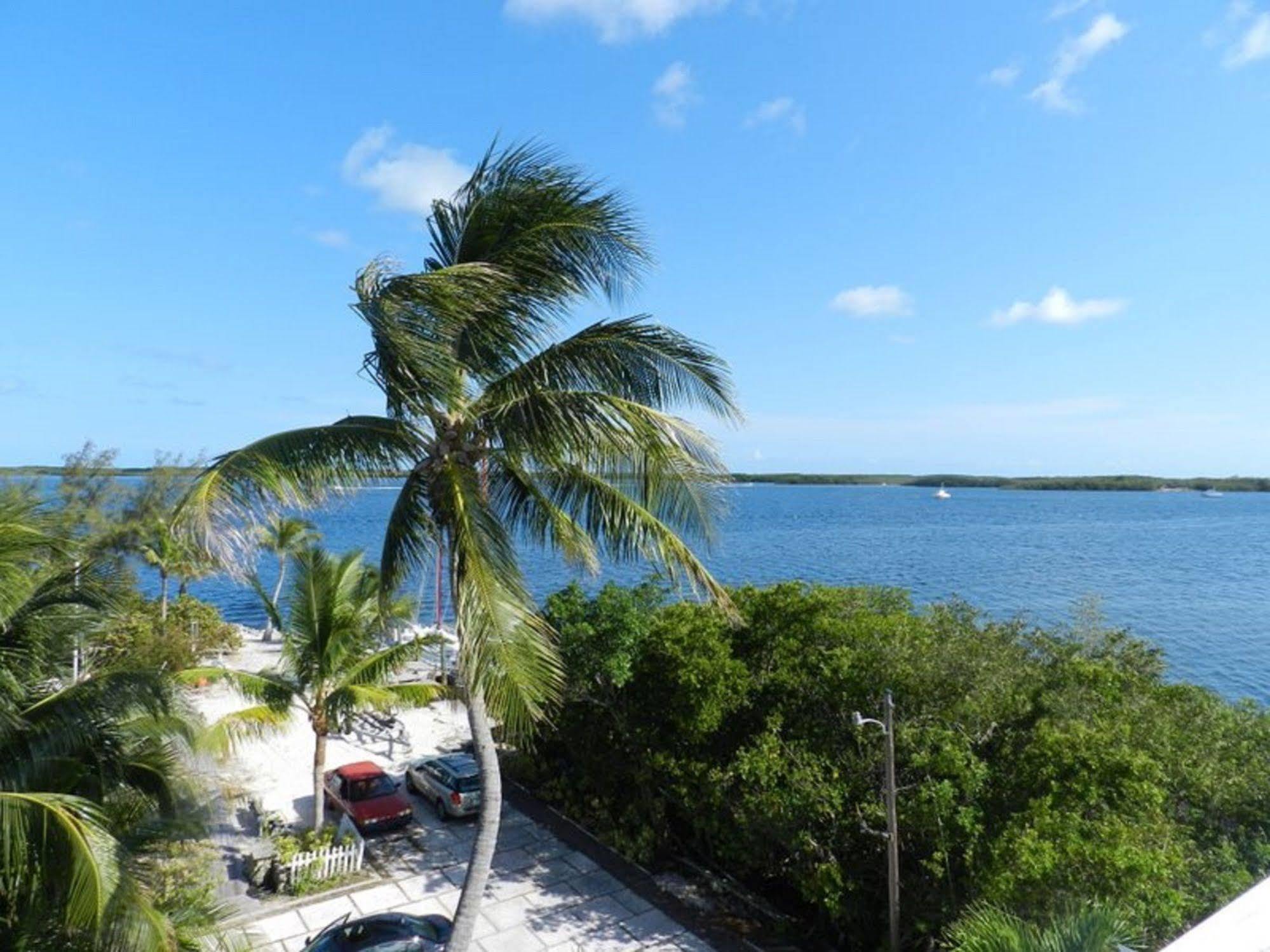 Tarpon Flats & Marina -