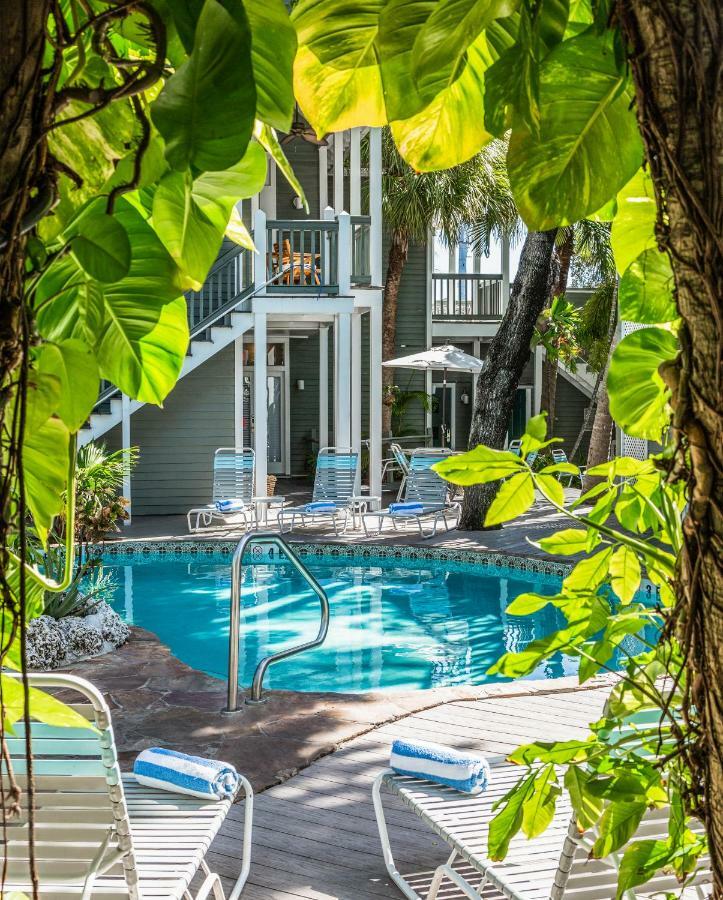 The - Adult Exclusive Inn