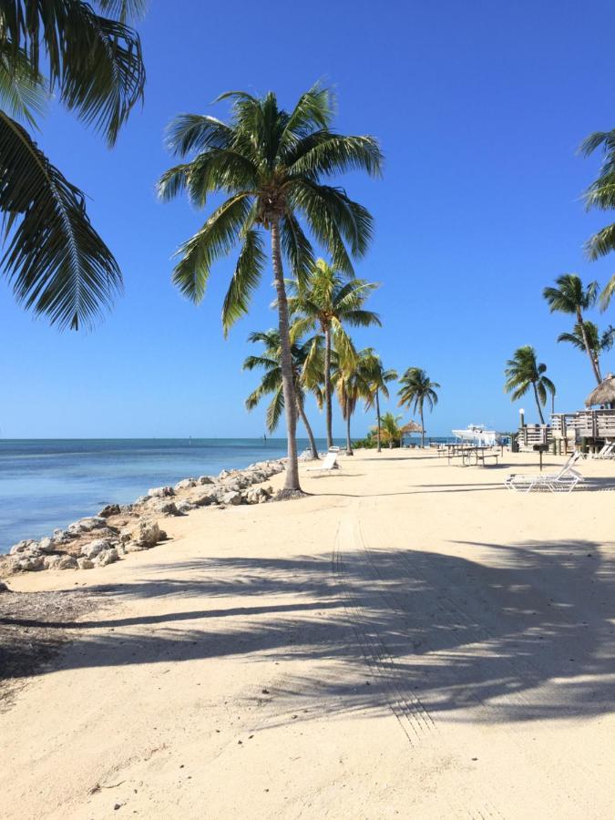 Caloosa Cove Hotel 3*